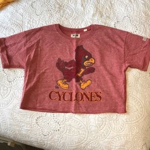 Iowa State Cyclones sweatshirt Crop top